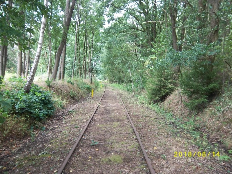 ZWNEGI36